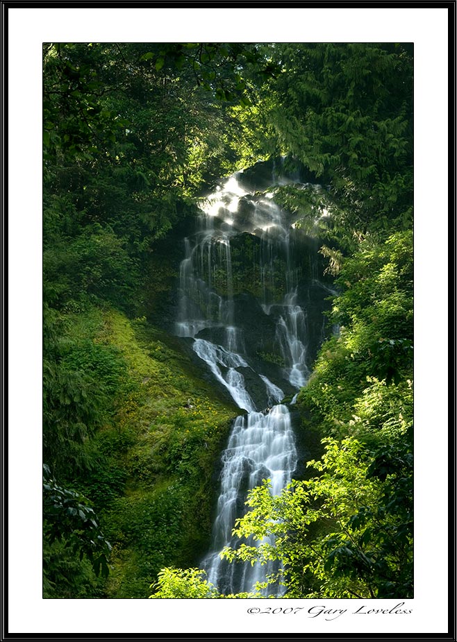 "Munson Creek Falls"  Photo of Munson Creek Falls, Oregon State
